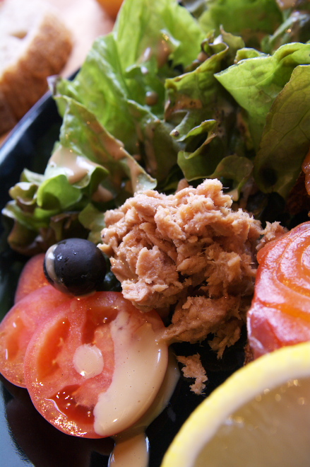 IMGP0062.jpg(195878 byte)