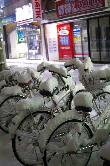 IMGP0165.jpg(194741 byte)