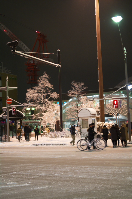 IMGP0173.jpg(194945 byte)