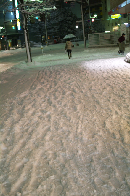 IMGP0176.jpg(193473 byte)