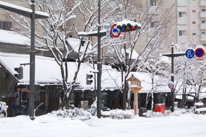 IMGP0080.jpg(259699 byte)