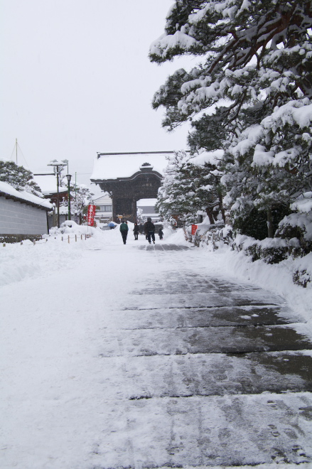 IMGP0017.jpg(192119 byte)