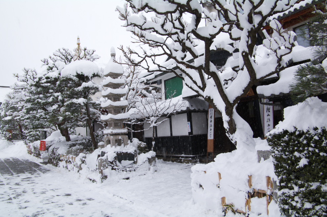 IMGP0019.jpg(244977 byte)