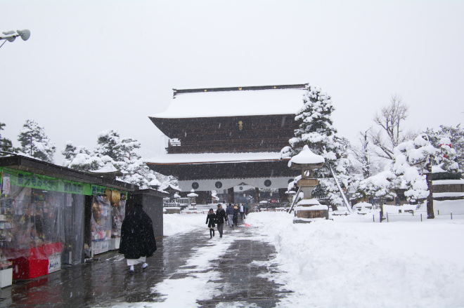 IMGP0027.jpg(161417 byte)