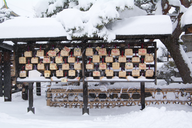 IMGP0047.jpg(225096 byte)