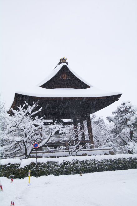 IMGP0049.jpg(154863 byte)