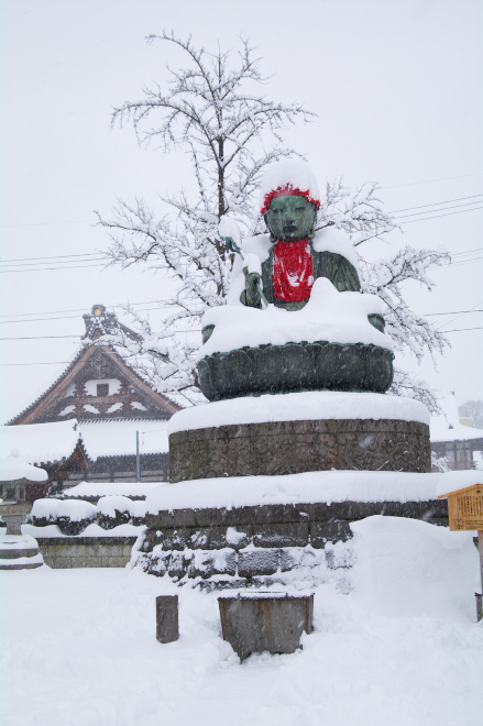 IMGP0051.jpg(155342 byte)