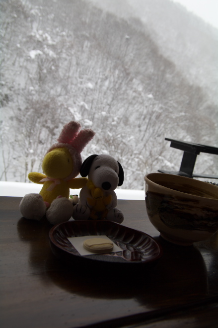 IMGP0136.jpg(120154 byte)