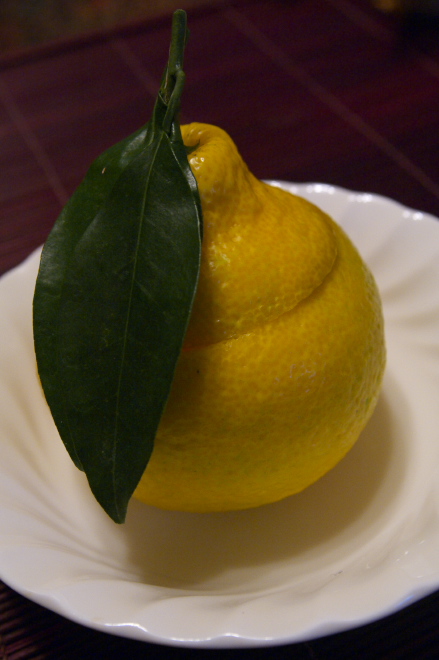 IMGP0002.jpg(137356 byte)