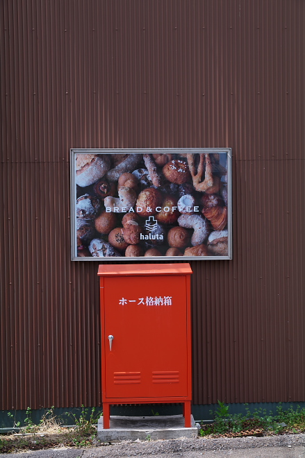 IMGP0033.jpg(165564 byte)