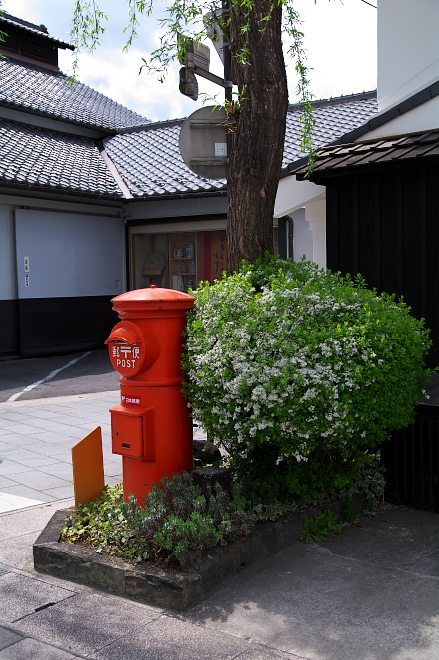 IMGP0048.jpg(250047 byte)