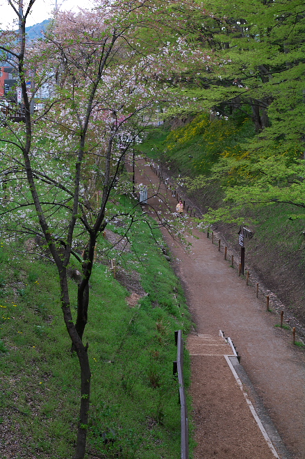 IMGP0053.jpg(332505 byte)