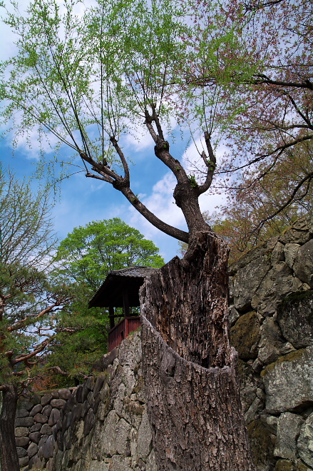 IMGP0063.jpg(361319 byte)