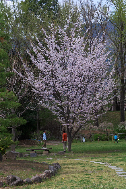 IMGP0071.jpg(339006 byte)