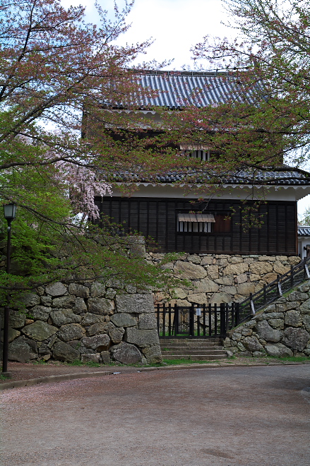 IMGP0077.jpg(316862 byte)