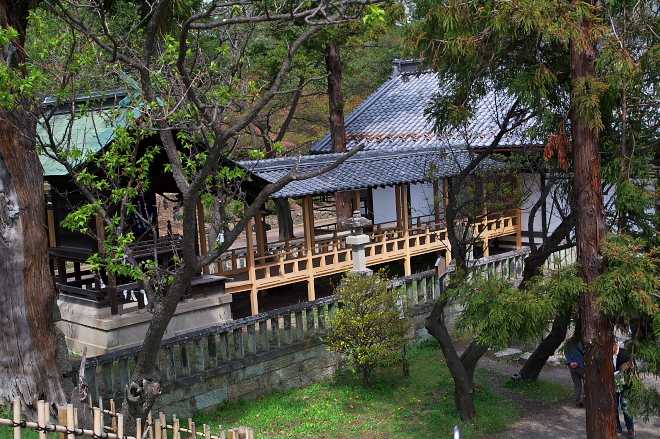 IMGP0082.jpg(345039 byte)