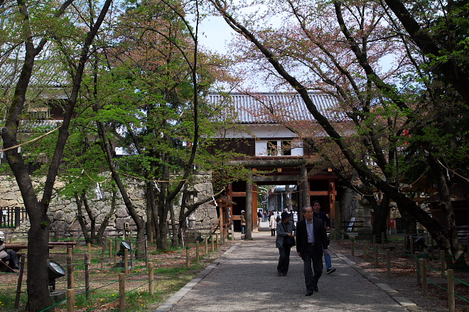 IMGP0091.jpg(345837 byte)