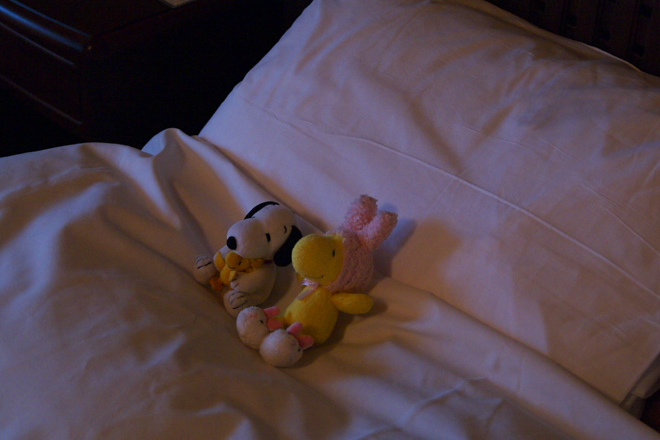 IMGP0028.jpg(139130 byte)