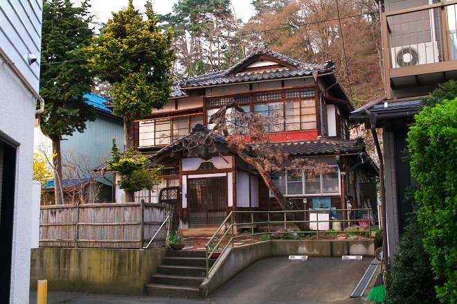 IMGP0050.jpg(298307 byte)