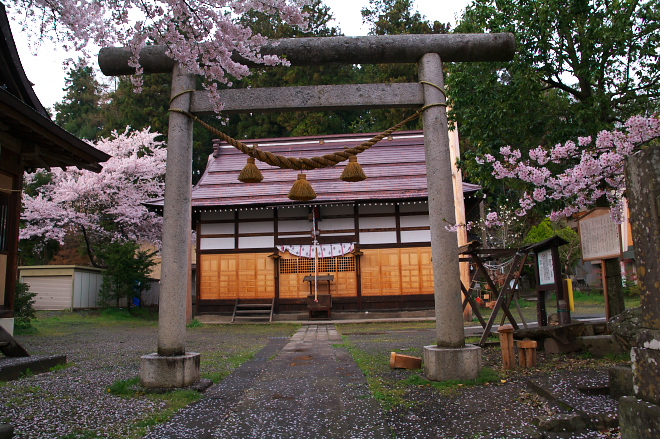 IMGP0059.jpg(307266 byte)