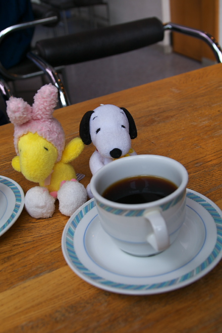 IMGP0007.jpg(141984 byte)