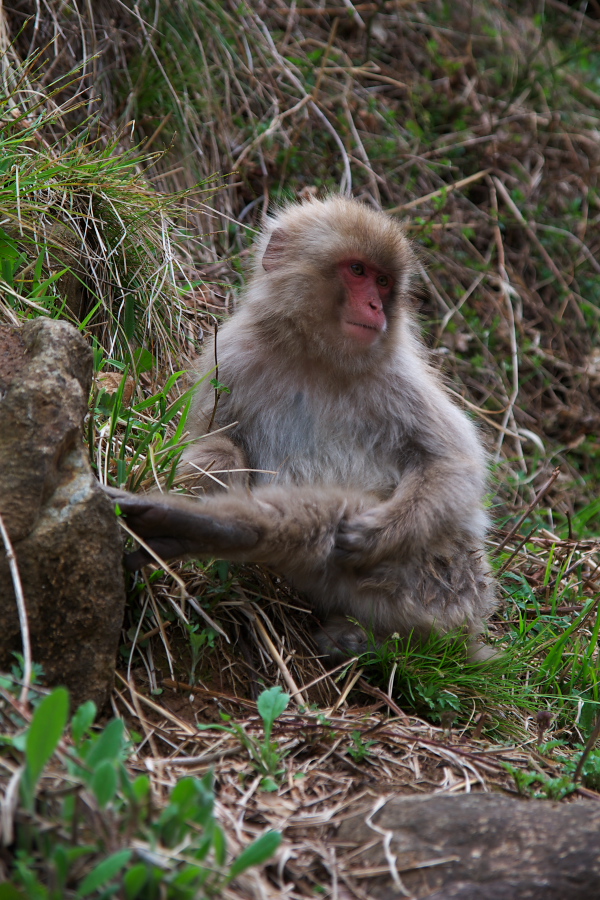 IMGP0025.jpg(425021 byte)