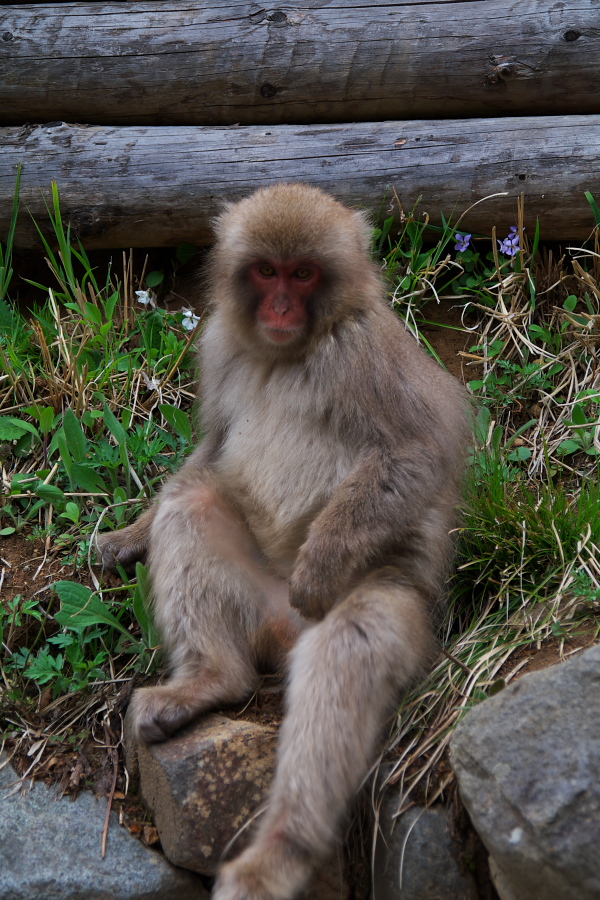 IMGP0028.jpg(420825 byte)