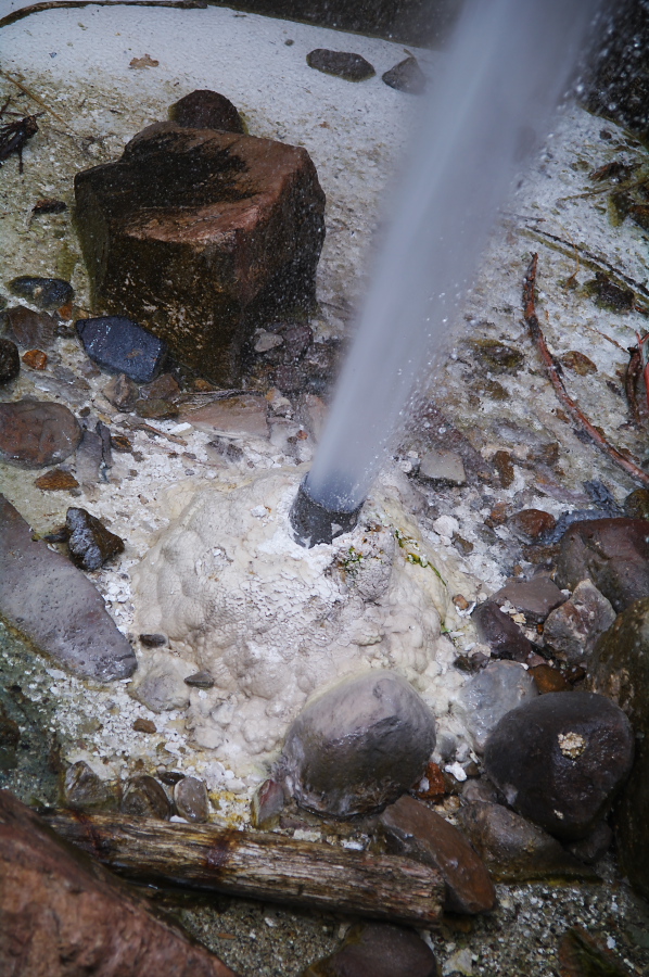 IMGP0042.jpg(401171 byte)