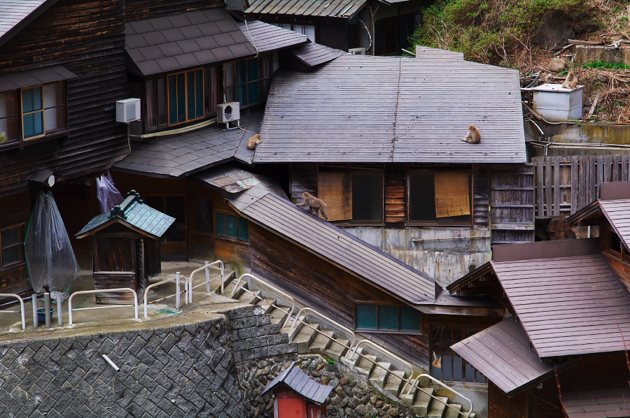 IMGP0054.jpg(427140 byte)