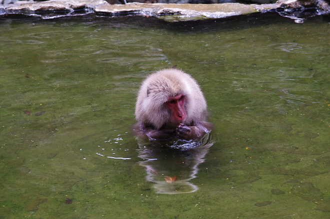 IMGP0066.jpg(207931 byte)