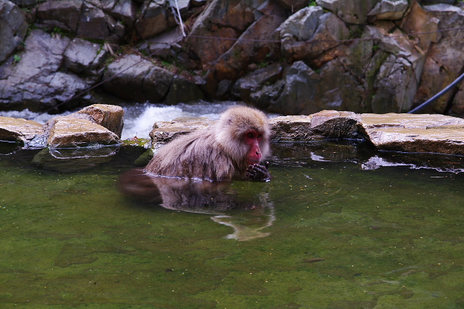 IMGP0070.jpg(212743 byte)