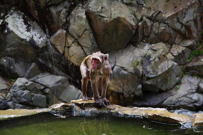 IMGP0076.jpg(204110 byte)