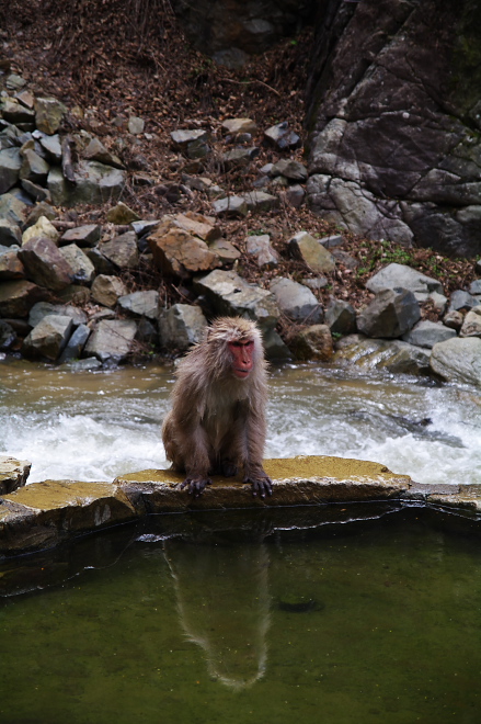 IMGP0079.jpg(210227 byte)