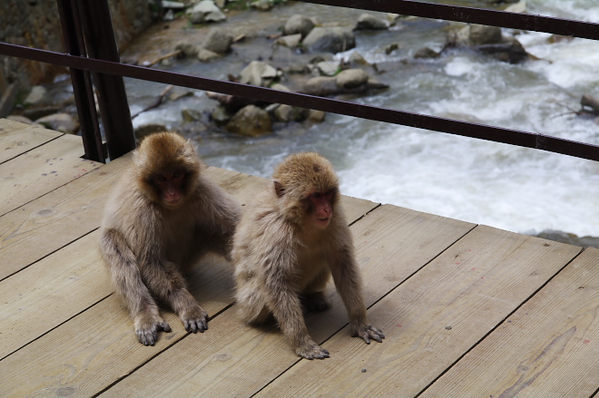 IMGP0085.jpg(182437 byte)