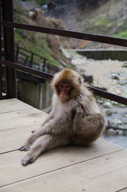 IMGP0089.jpg(151798 byte)