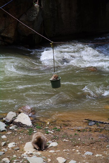 IMGP0099.jpg(230581 byte)