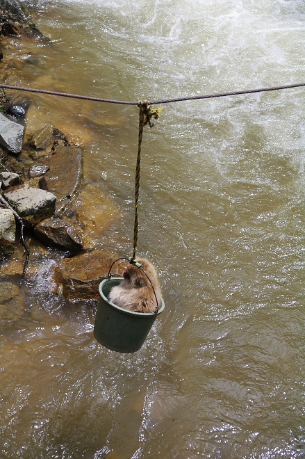 IMGP0101.jpg(278119 byte)