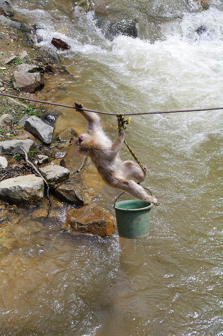 IMGP0103.jpg(286711 byte)