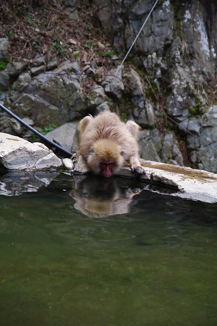 IMGP0106.jpg(185234 byte)