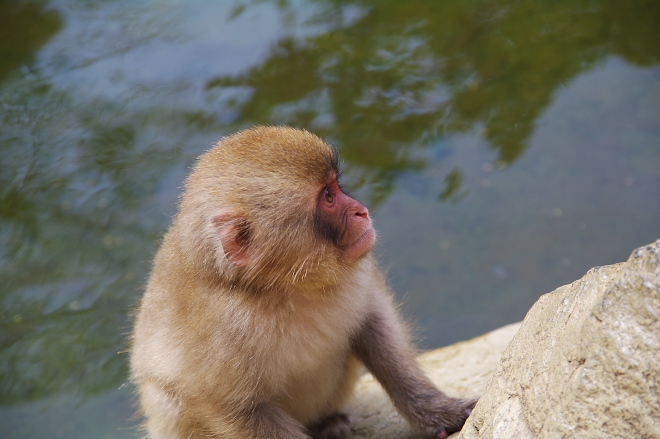 IMGP0109.jpg(140931 byte)