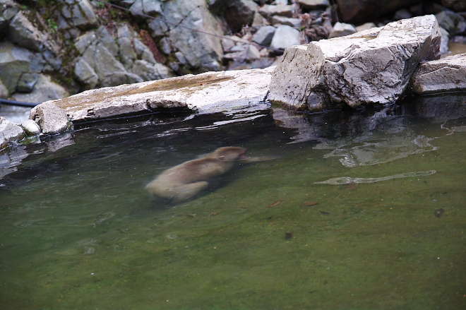 IMGP0124.jpg(197213 byte)