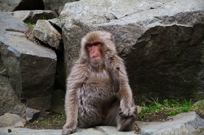 IMGP0126.jpg(248874 byte)