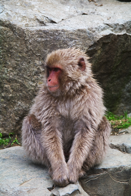 IMGP0133.jpg(239296 byte)