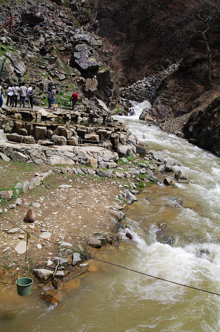 IMGP0135.jpg(304722 byte)