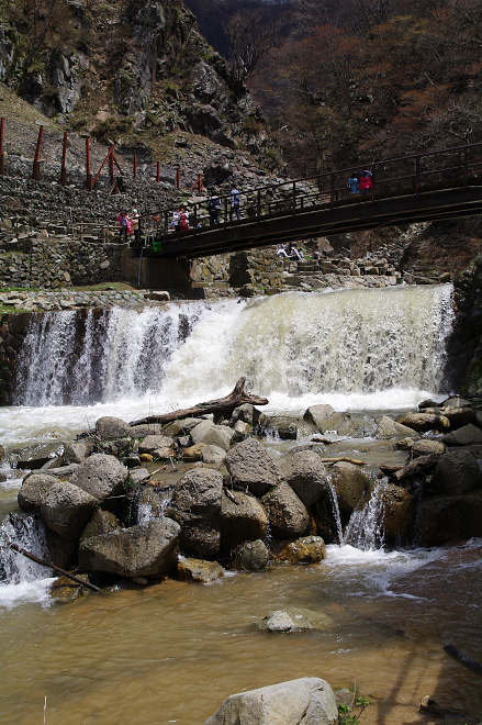 IMGP0144.jpg(267960 byte)