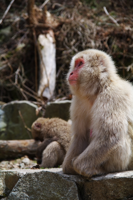 IMGP0175.jpg(191363 byte)