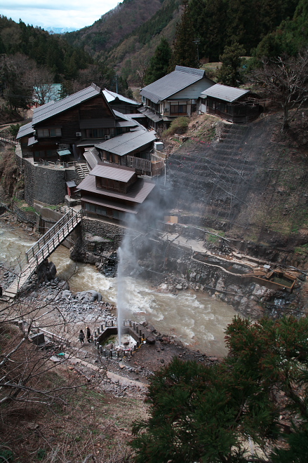 IMGP0192.jpg(261995 byte)