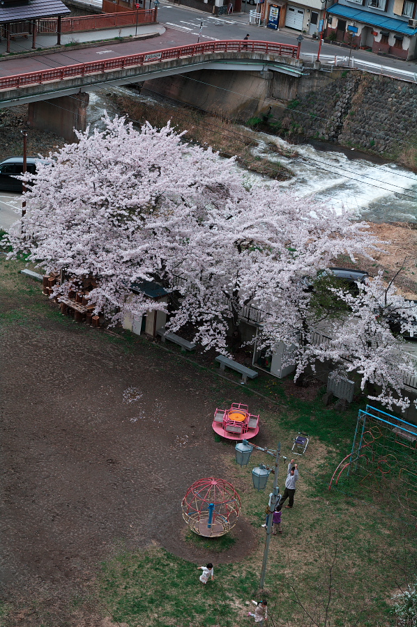 IMGP0222.jpg(525195 byte)