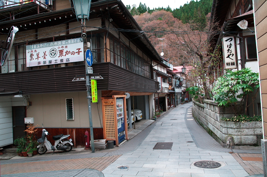 IMGP0236.jpg(474194 byte)