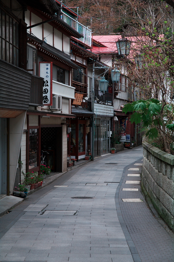 IMGP0238.jpg(429468 byte)